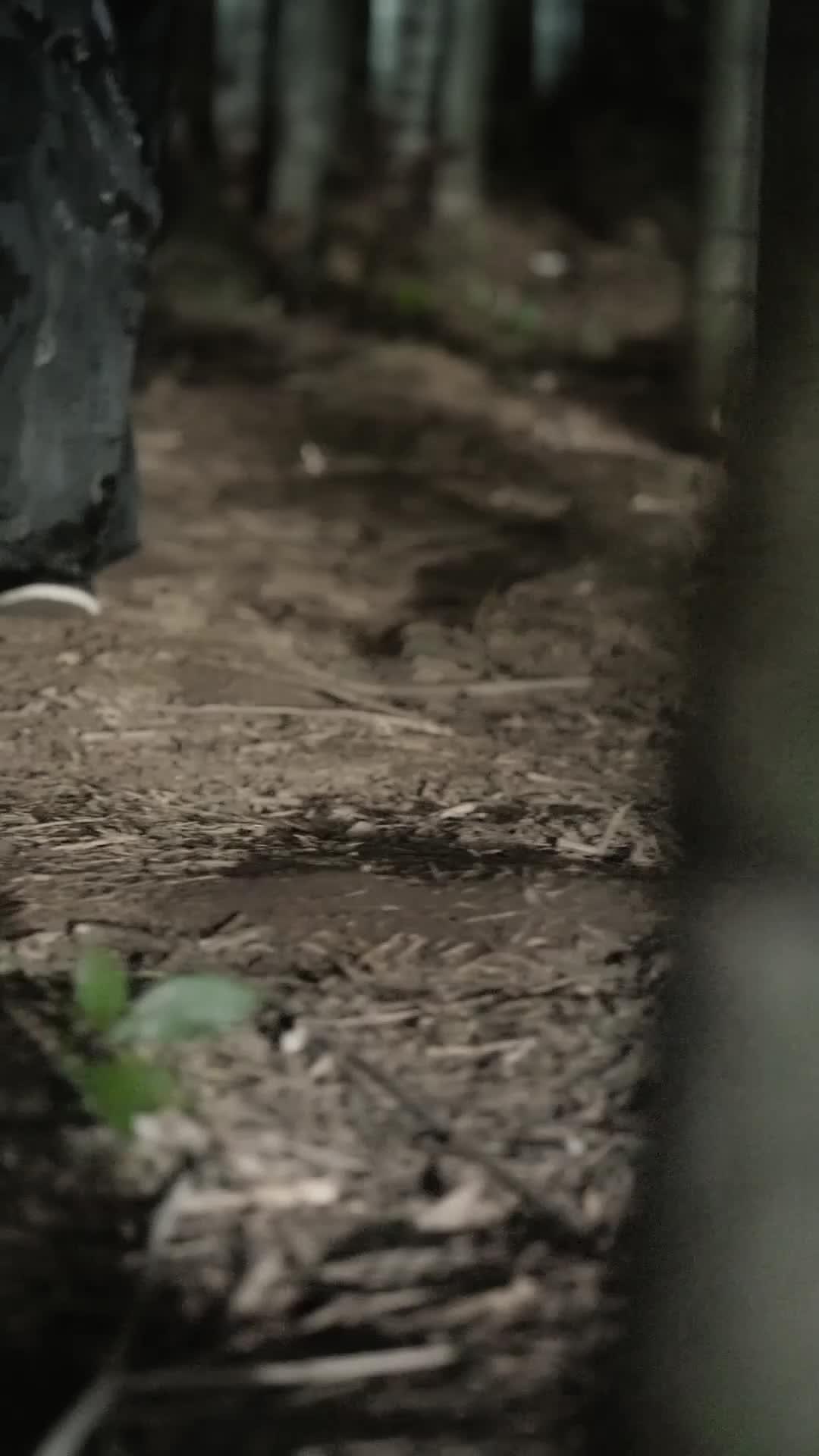 Bangkitnya Anak Terbuang