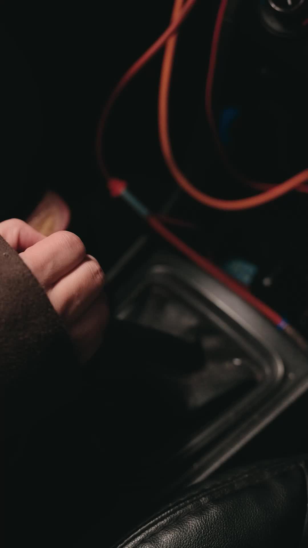 隠された狼の復讐