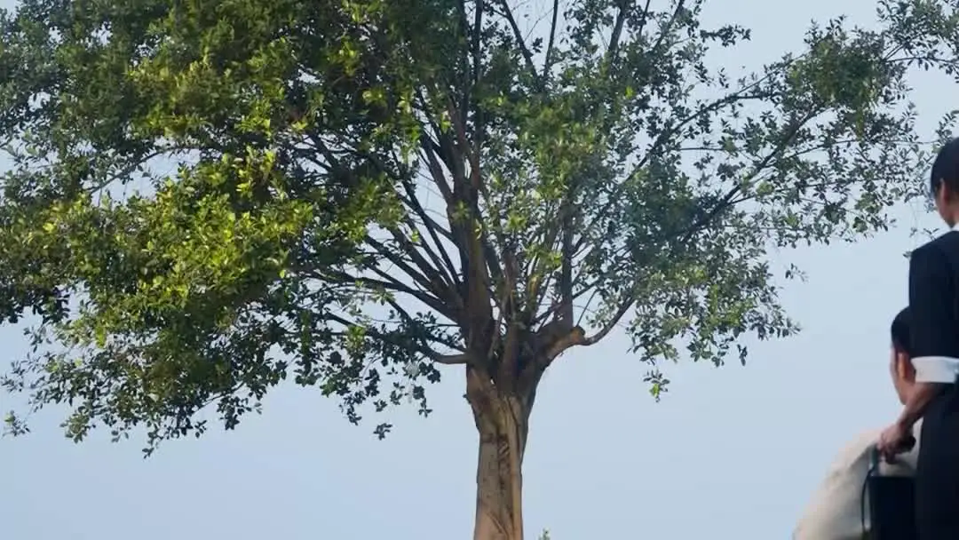 See You Again: When the Wind Chime Stops Singing