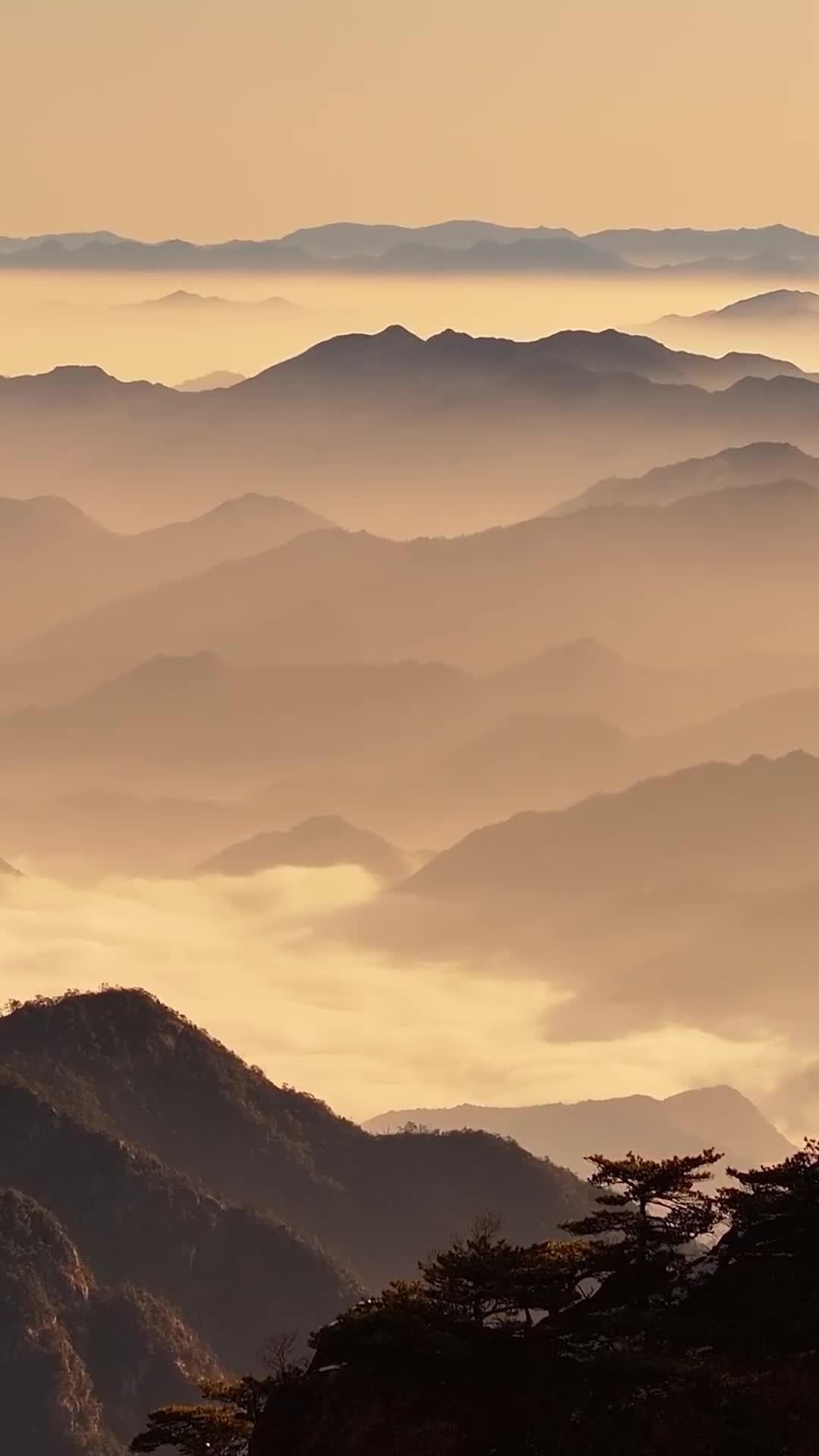 铁拳无敌杨芊芊