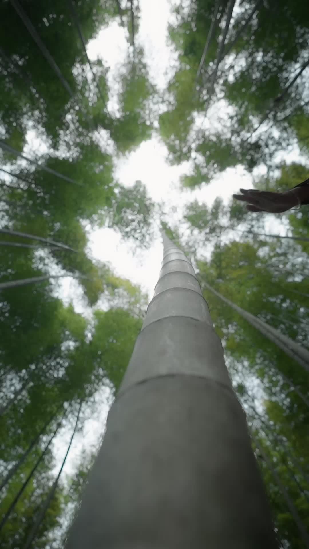 Bangkitnya Anak Terbuang