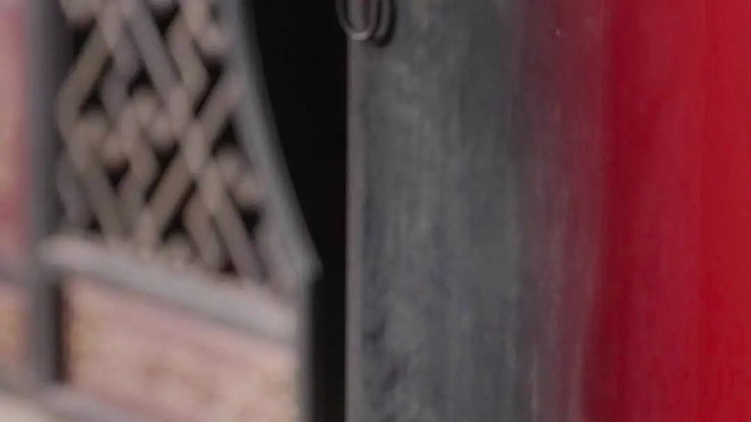 A Love Gone Wrong: When Dragons and Peonies Collide in Silence