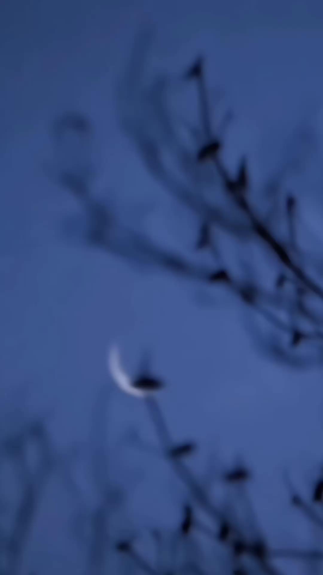 Bangkitnya Anak Terbuang