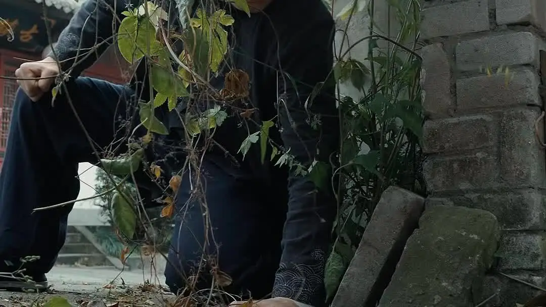 Rise of the Outcast: Where Dirt Meets Dynasty