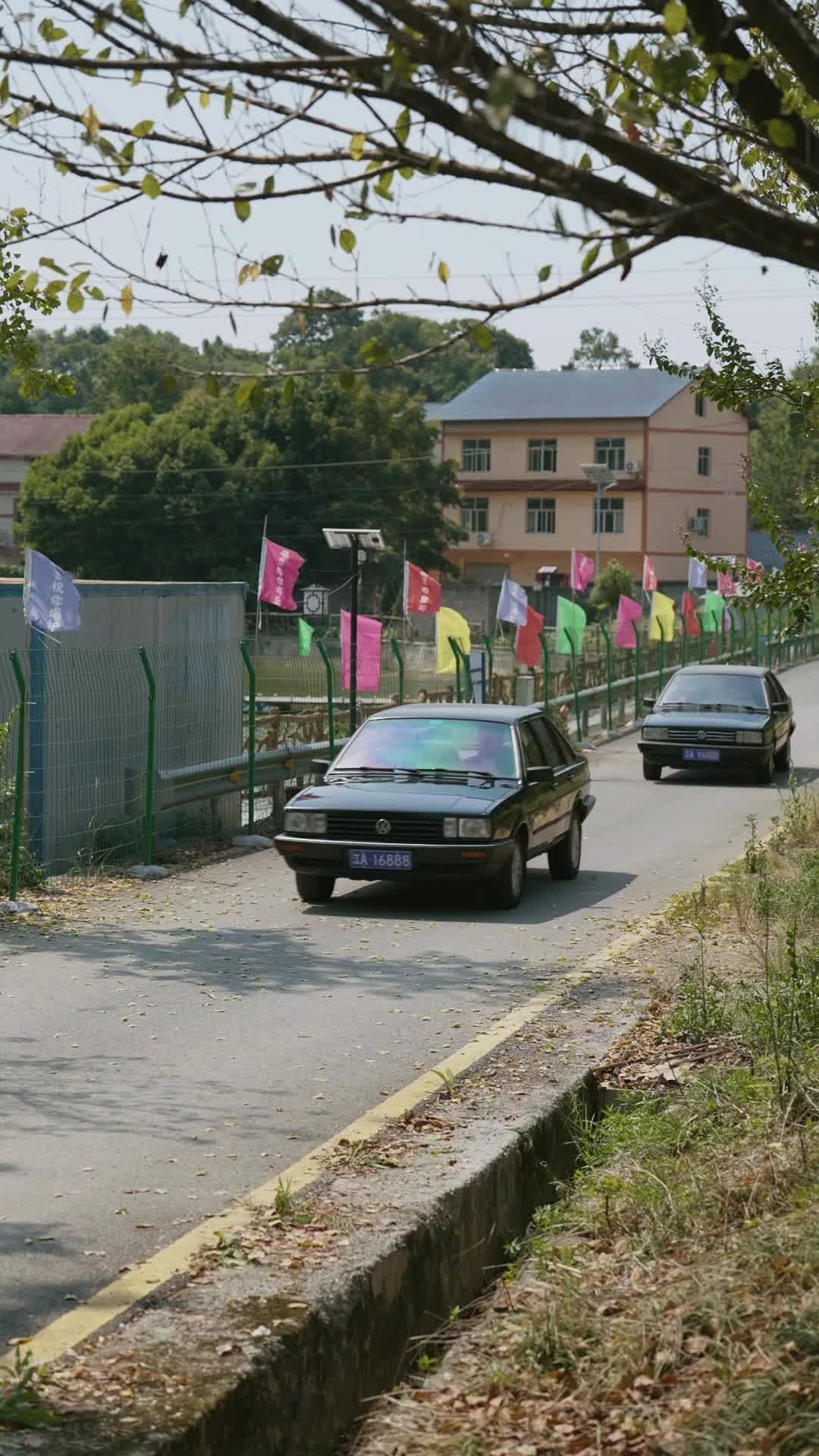 重回九零當釣王