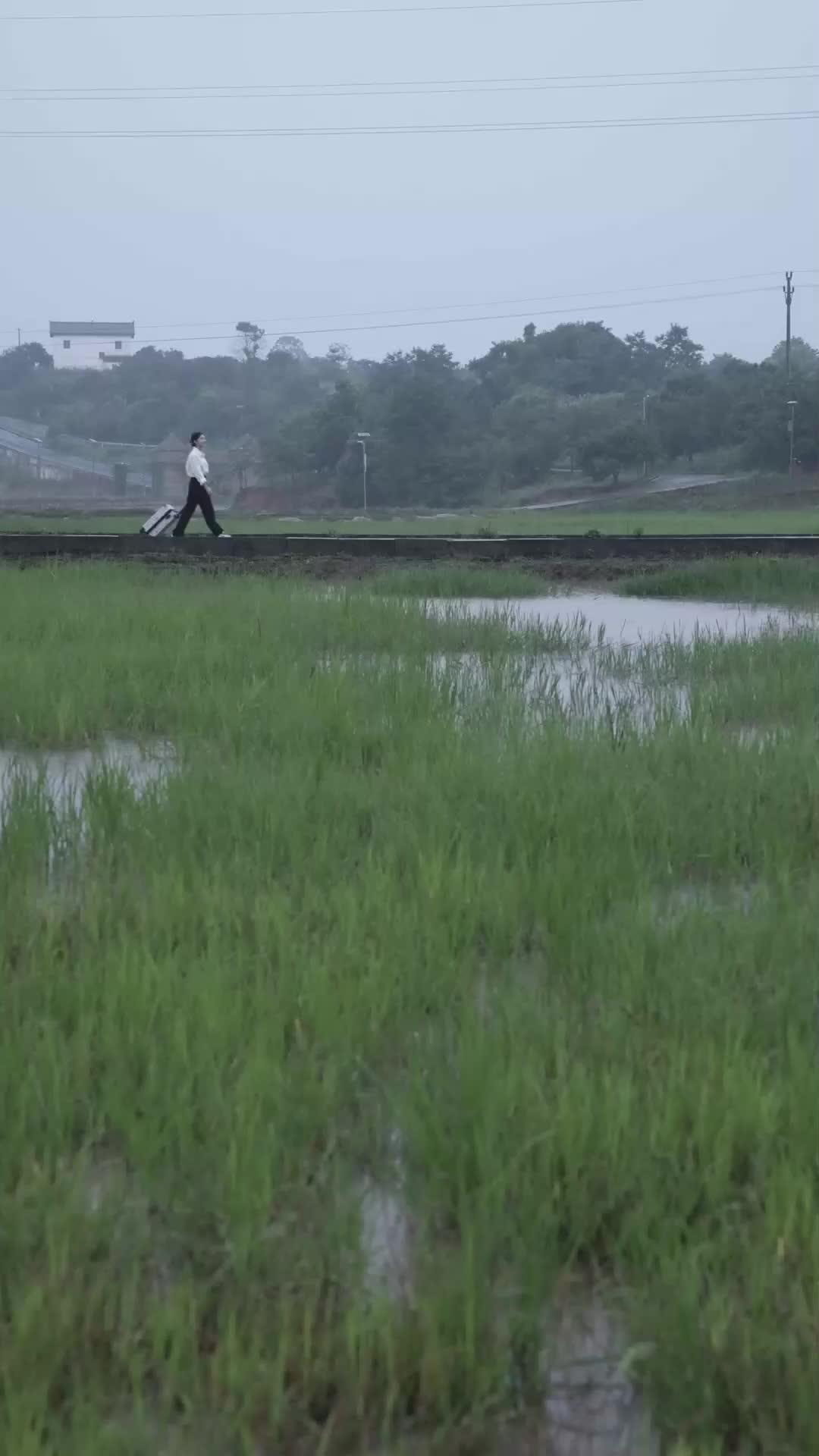 我家總裁是村姑