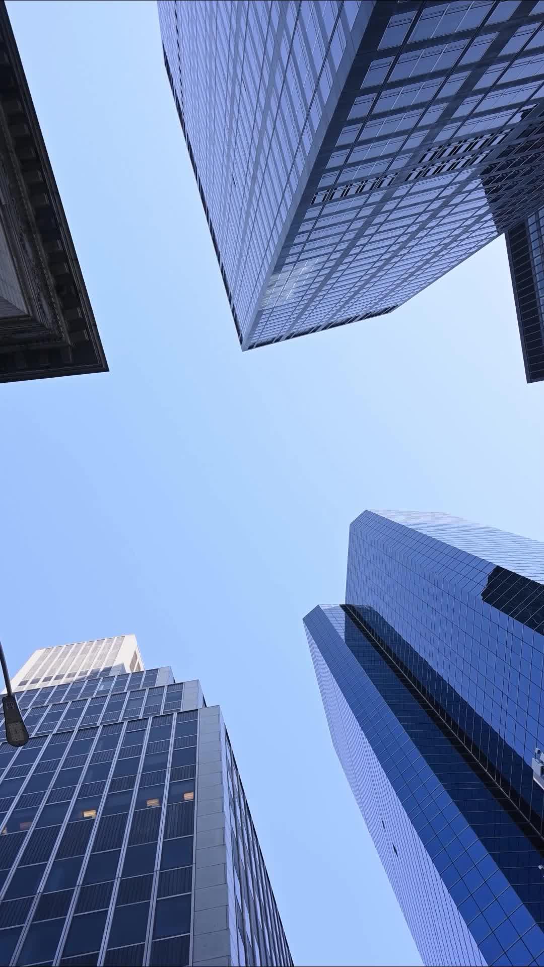 L'AMOUR DANS L'EMBROUILLE