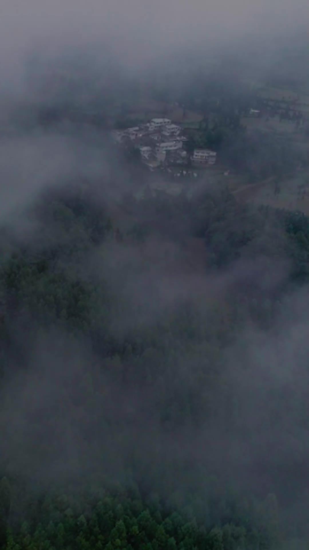 집으로 돌아가는 길