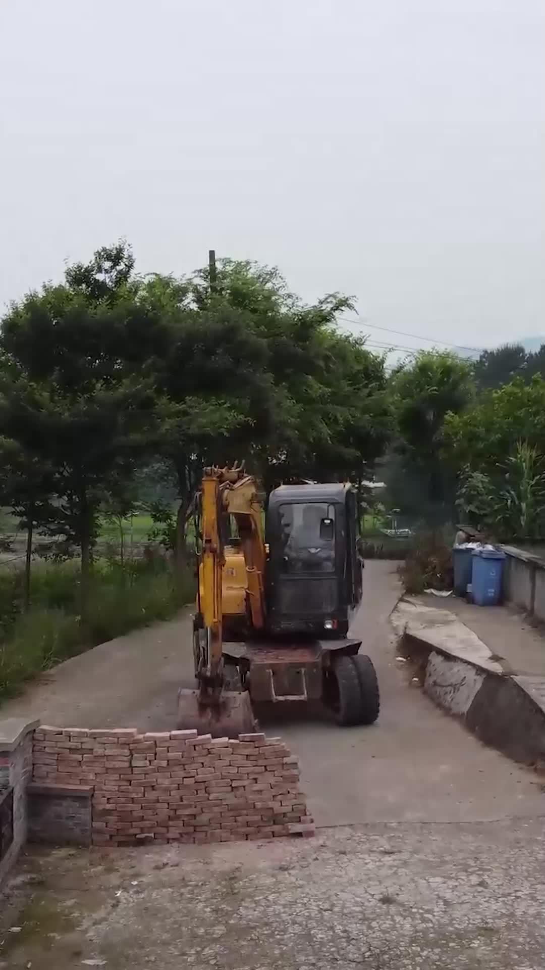 La verdadera y falsa presidenta