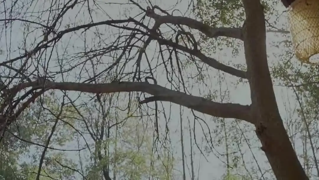 The Dagger That Never Fell