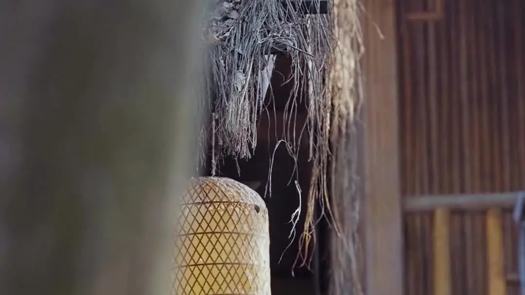 When Armor Meets Embroidery