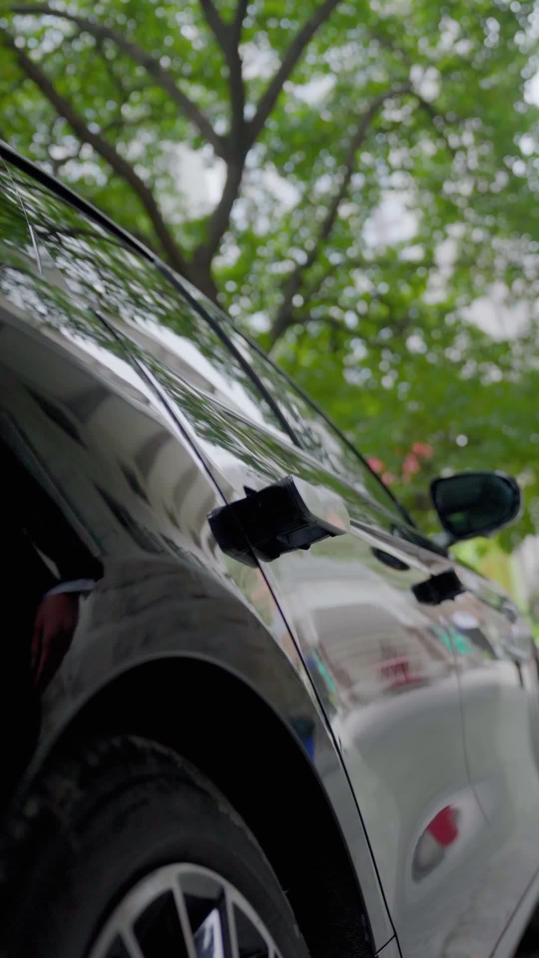 The Hidden Dragon: A Father's Redemption