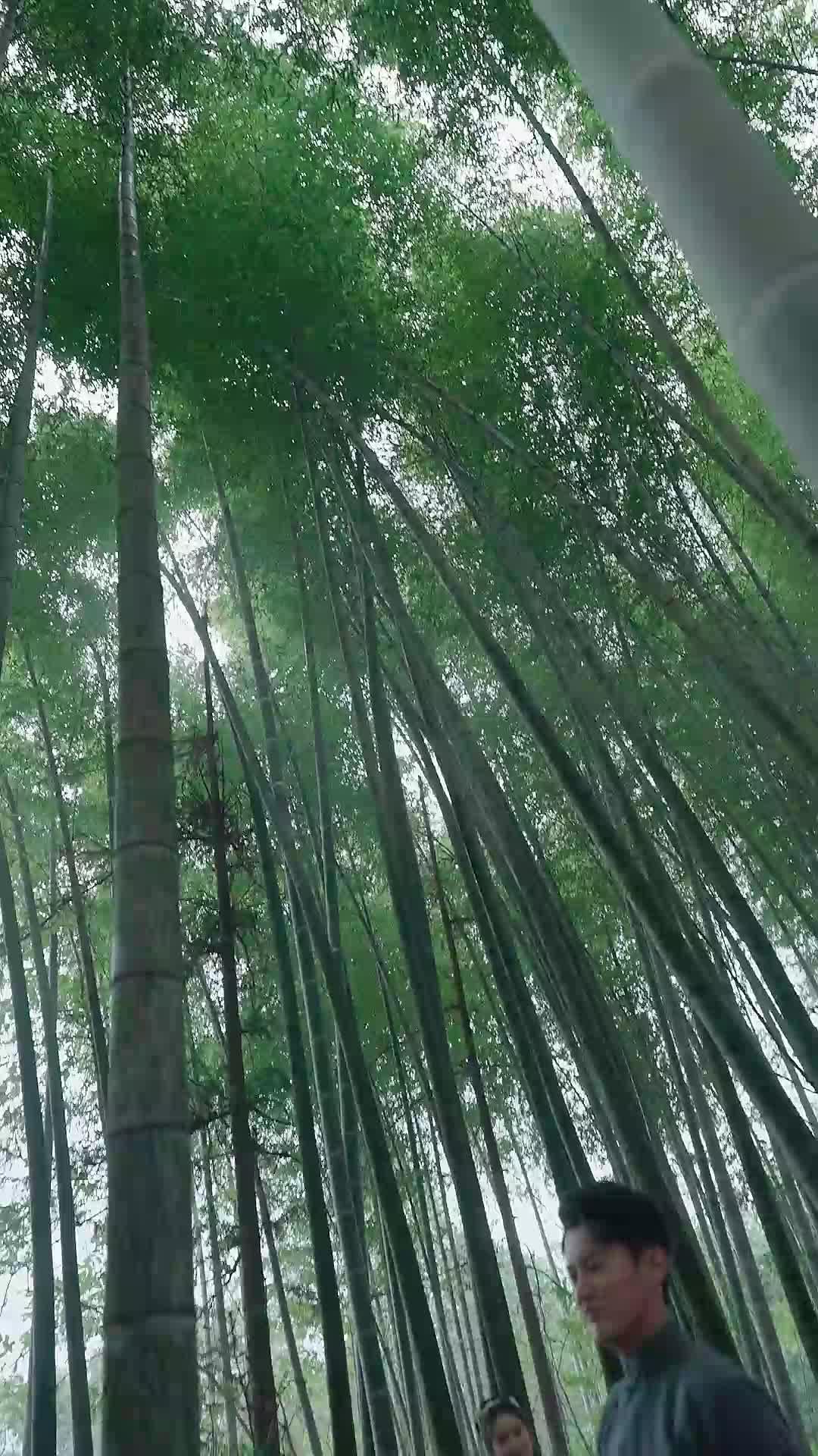 De inútil a maestro